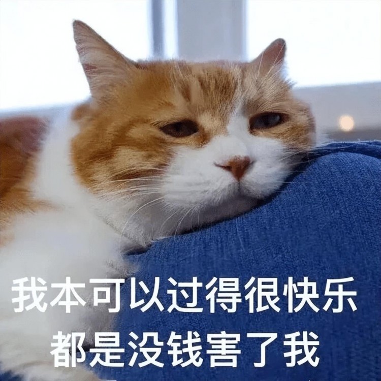 如何选择好的猫粮？教你几招，不要再被坑了！